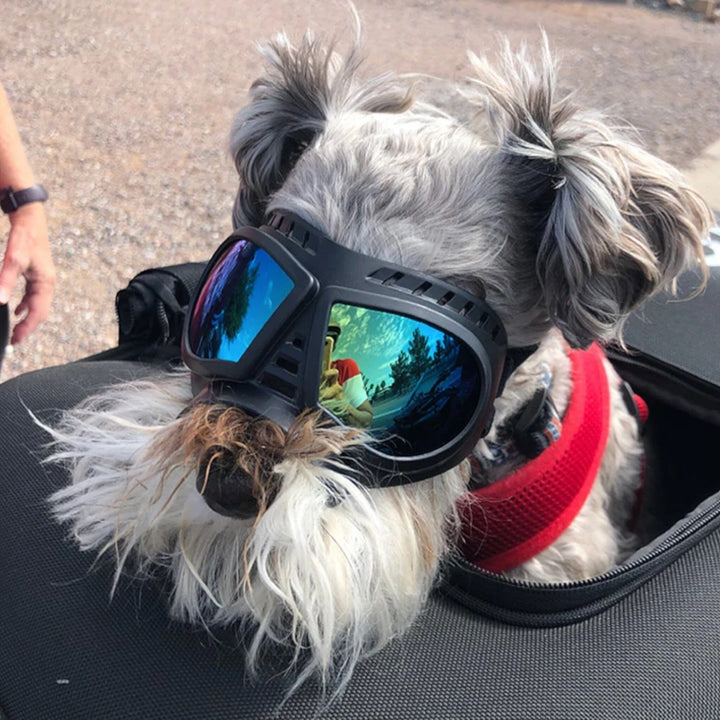 Skanto Shadow Dog Goggles
