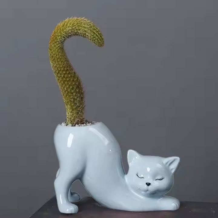 Søt katt blomsterpotte - Glasert porselen saftig planter | Skanto