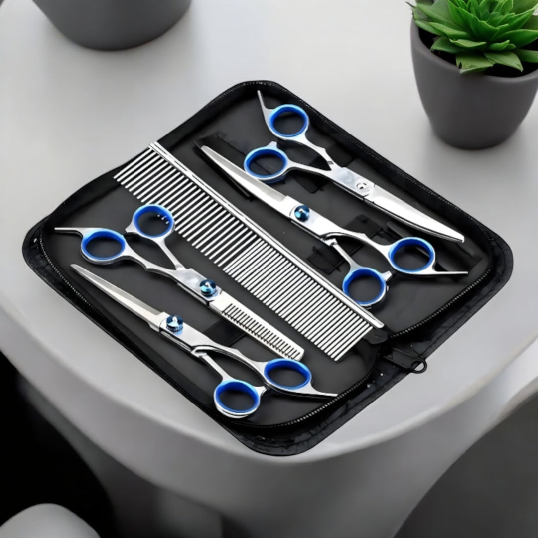 Skanto Perfection Barber Sett