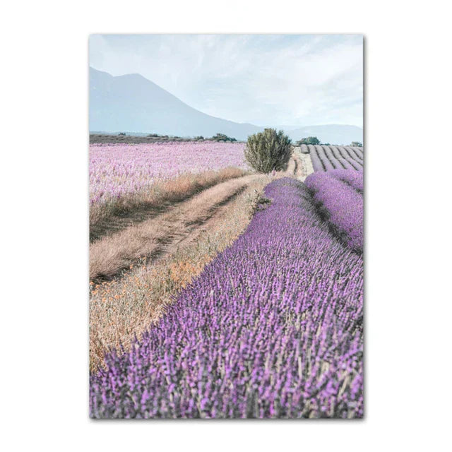 Provence Landskap Purpur Lavendel Bilder av rolig vegkunst Fine Art lerretsutskrifter Galleri veggbilder for stue Kunst Dekor | Skanto