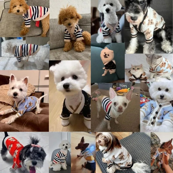 Hundekardigan laget av strikket varmt og stripet Skanto