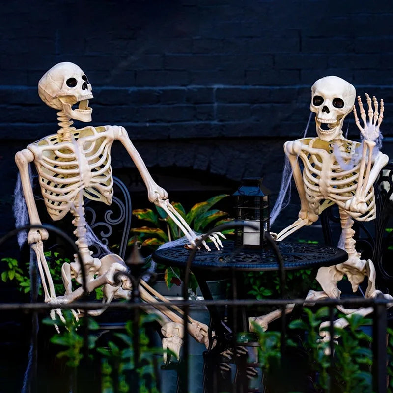 Skanto | Flyttbart menneskelig skjelett 90–165 cm — realistisk dekorasjon for Halloween og horrorfester