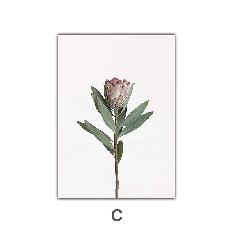 Minimalist Rosa Blomster Botanisk Veggkunst Fine Art Lerretsutskrifter Plakater Elegante Bilder For Nordisk Stue Spiserom Soverom Kunst Dekor | Skanto