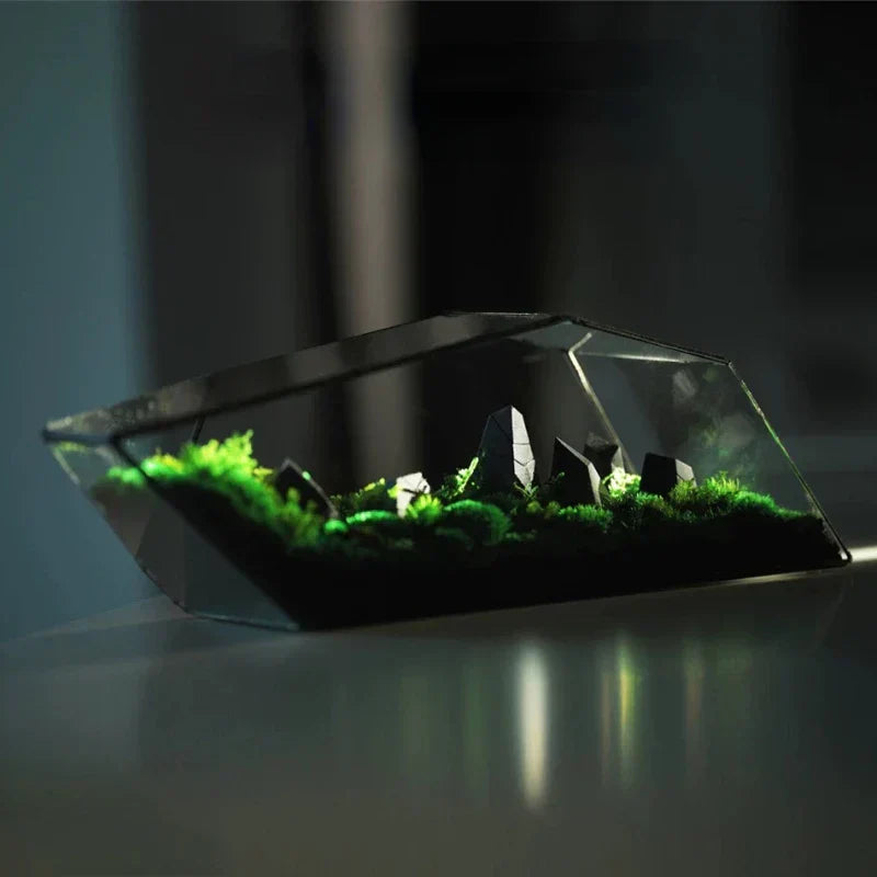 Geometrisk glassmoos-plantekasse terrarium-vase | Skanto