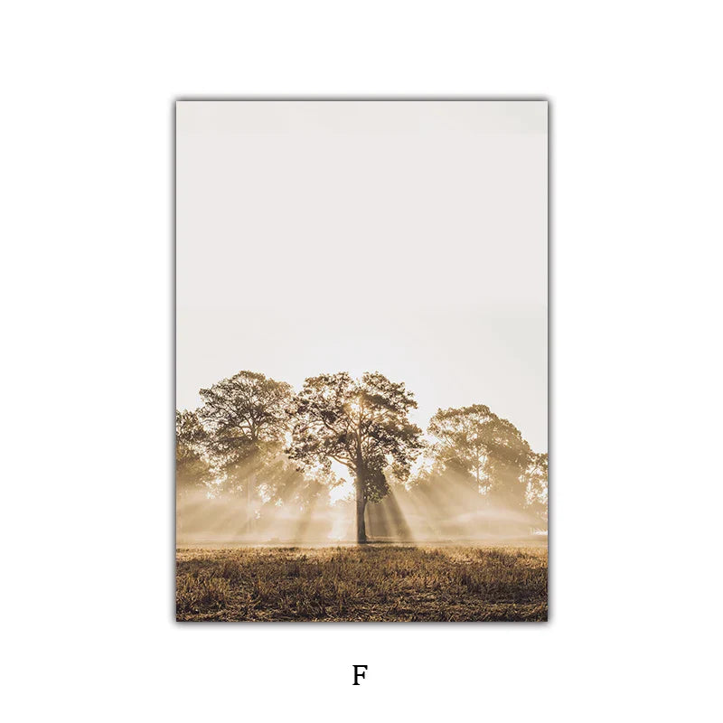 Enkel Natur Floral Landskap Galleri Veggkunst Fine Art Lerret Utskrifter Minimalistiske Nordiske Bilder For Stue Skandinavisk Hjem Dekor | Skanto