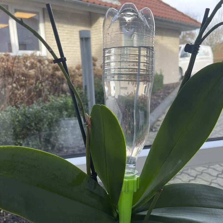 Selvvannende for potteplanter / senger - Pakke med 6 stk. | Skanto