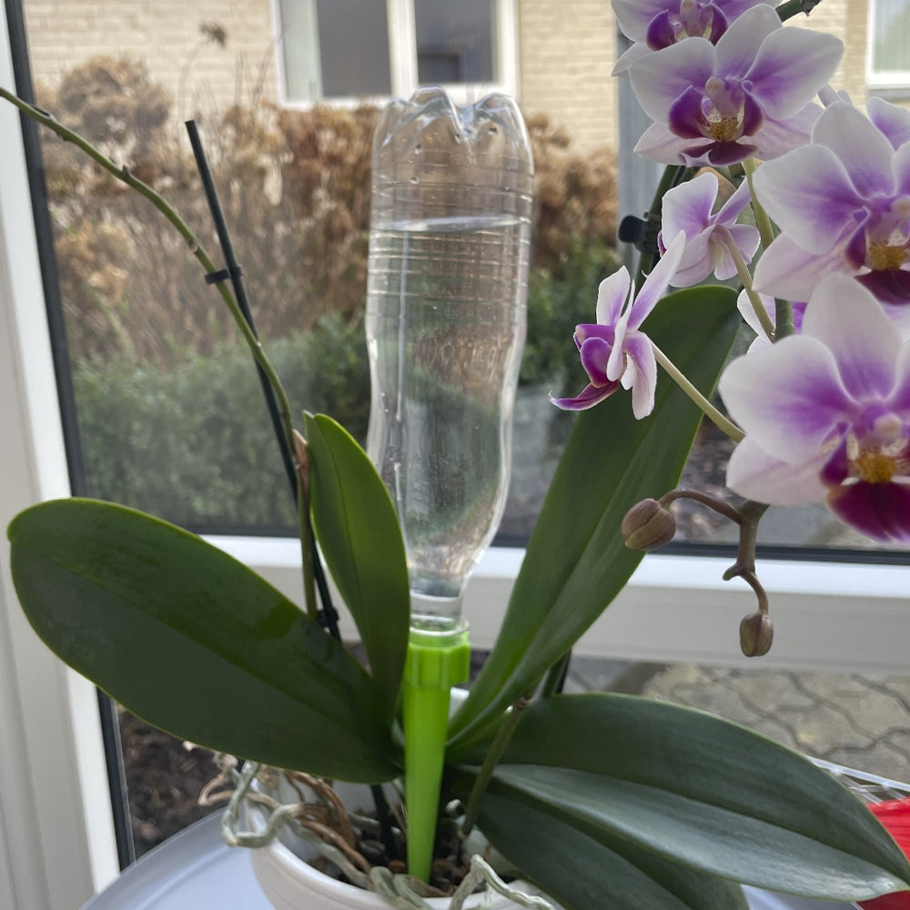 Selvvannende for potteplanter / senger - Pakke med 6 stk. | Skanto