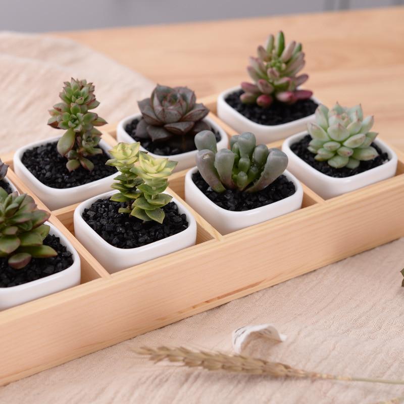 Skanto | Mini Planter Tray Set
