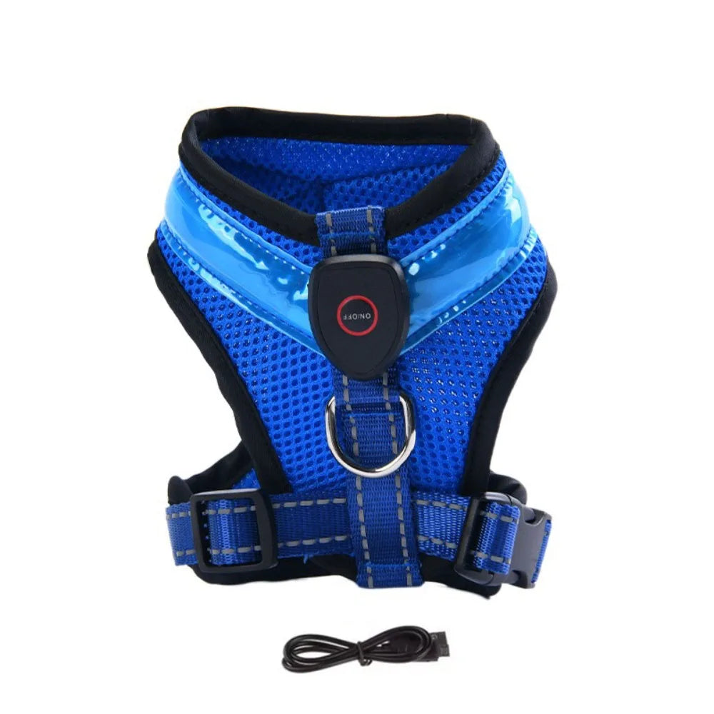 LED Hundesele USB oppladbar og justerbar Skanto