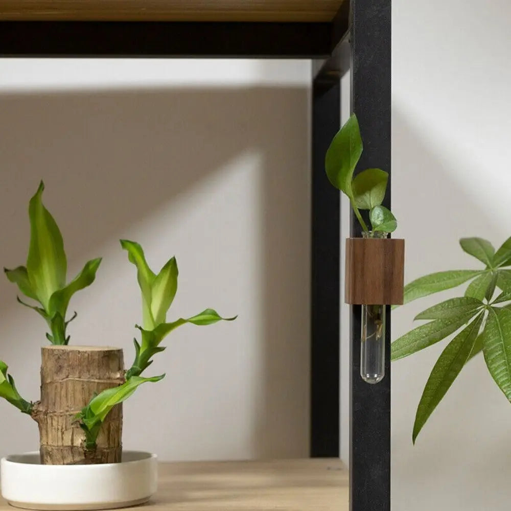 Skanto | Magnetisk Blomsterrør Vase av Tre