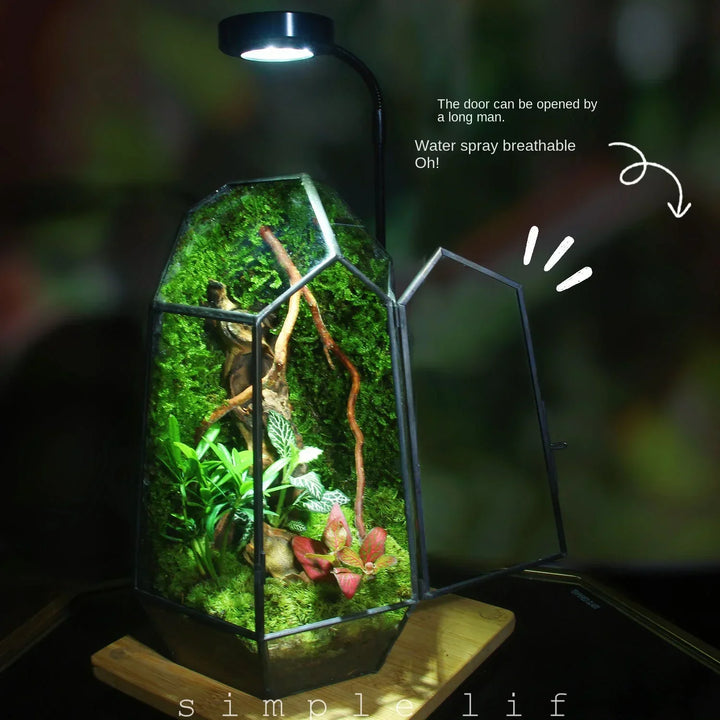 Moderne geometrisk, inspirert av naturen botanisk terrarium | Skanto