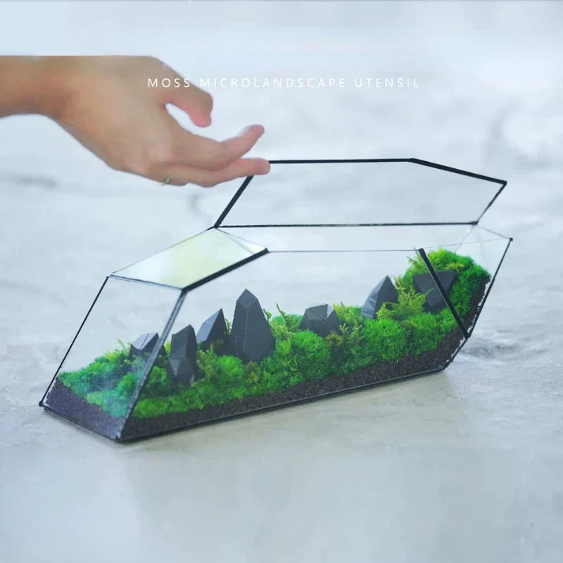 Geometrisk Glass Moss Plante Terrarium Vase | Skanto