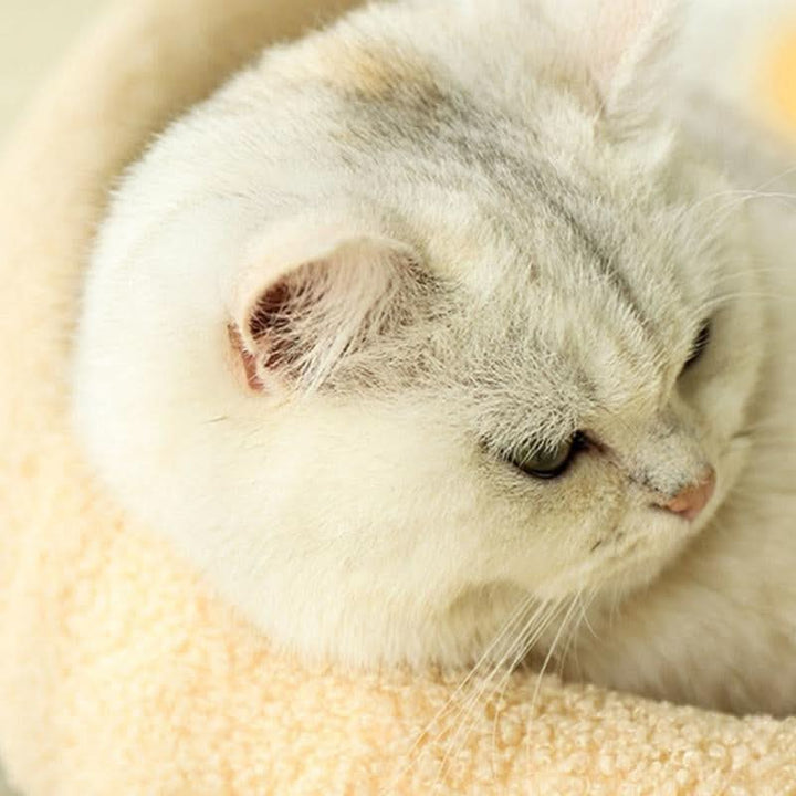 Skanto | MeowHaven Rede – Stilig Katt Seng med Kloreområde & Kosepute