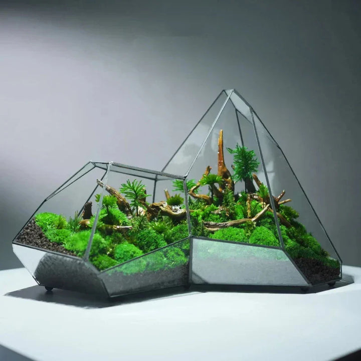 Skanto | Geometrisk Glass Mose Plante Terrarium Vase