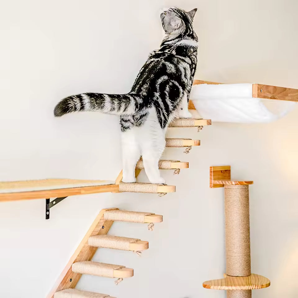Kattestige for veggmontering laget av tre med sisal Skanto