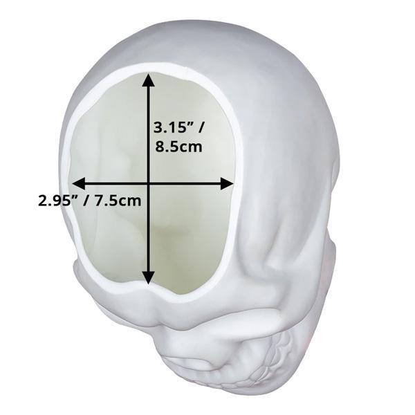 Skull Holder Blomsterpotte | Skanto