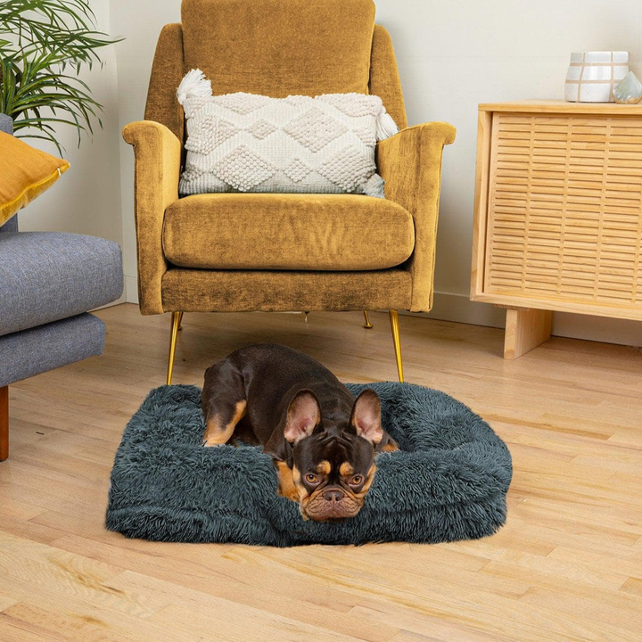 Skanto | SNUGPAW - Ortopedisk Hundeseng