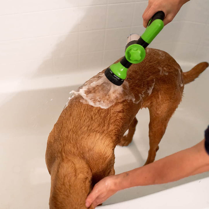 Skanto | Dusj: Høytrykk, Justerbar Og Skumfôret For Enkel Hundebading.