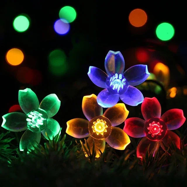 Skanto | Peach Blossom Fairy Lights