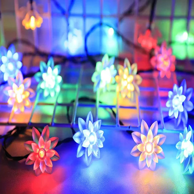 Skanto | Peach Blossom Fairy Lights