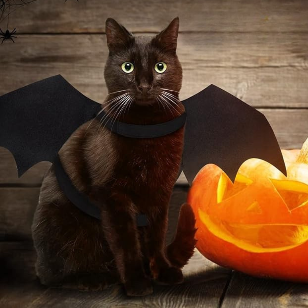 Skanto | Spooky Halloween Pets Flaggermusvinger