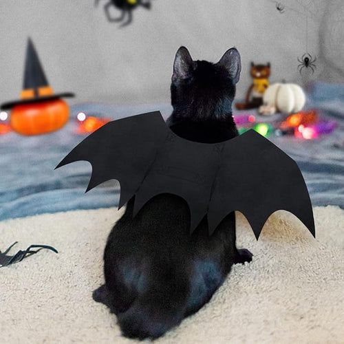 Skanto | Spooky Halloween Pets Flaggermusvinger