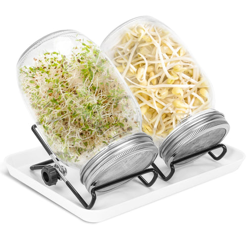 Spirende glass groinnglass 2stk med lokk & sil 950ML | Skanto