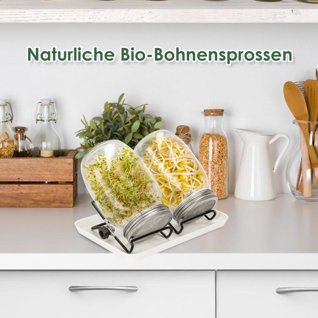 Spirende glass groinnglass 2stk med lokk & sil 950ML | Skanto