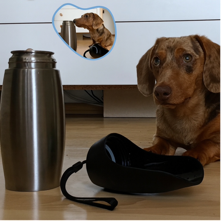 Tragbare, auslaufsichere Hunde-Trinkflasche aus Edelstahl unterwegs