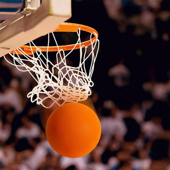 Den Stille Basketball Skanto