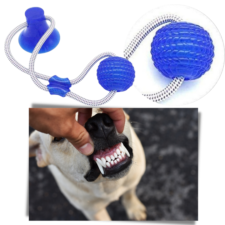 Ball hundeleke med sugekopp til hund