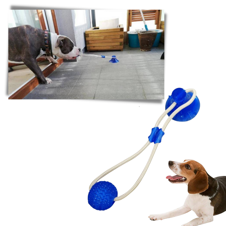 Ball hundeleke med sugekopp til hund