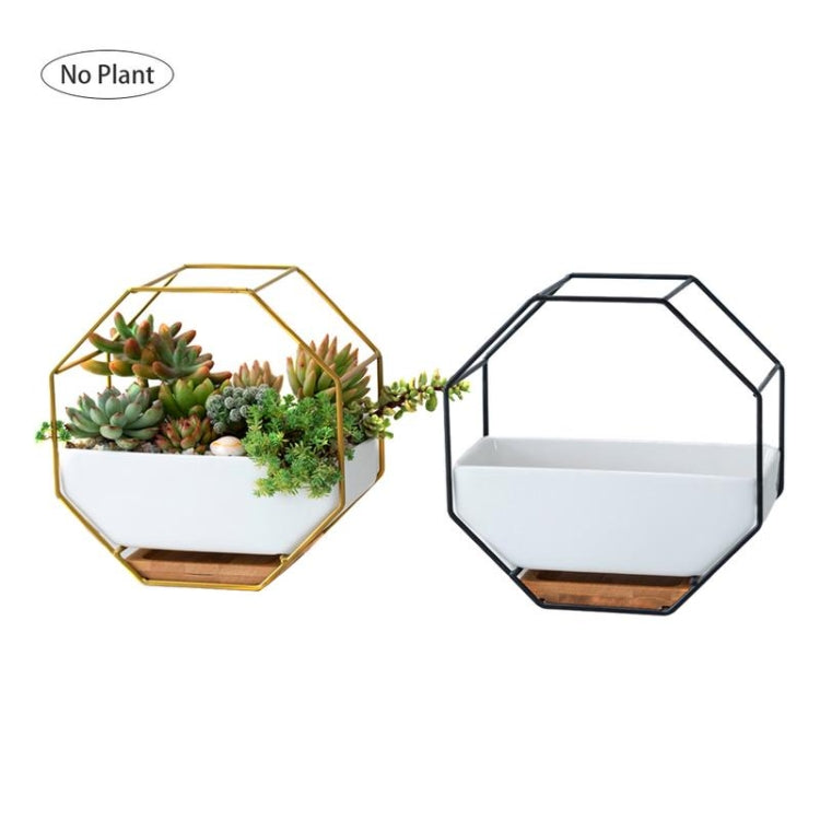 Skanto | Enkelt åttkantet geometrisk vegghengende bord succulentfat bambusstøtte jerrahylse blomsterpotte (svart)