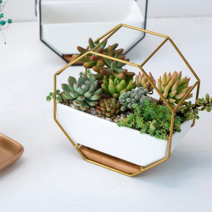 Skanto | Enkelt åttkantet geometrisk vegghengende bord succulentfat bambusstøtte jerrahylse blomsterpotte (svart)