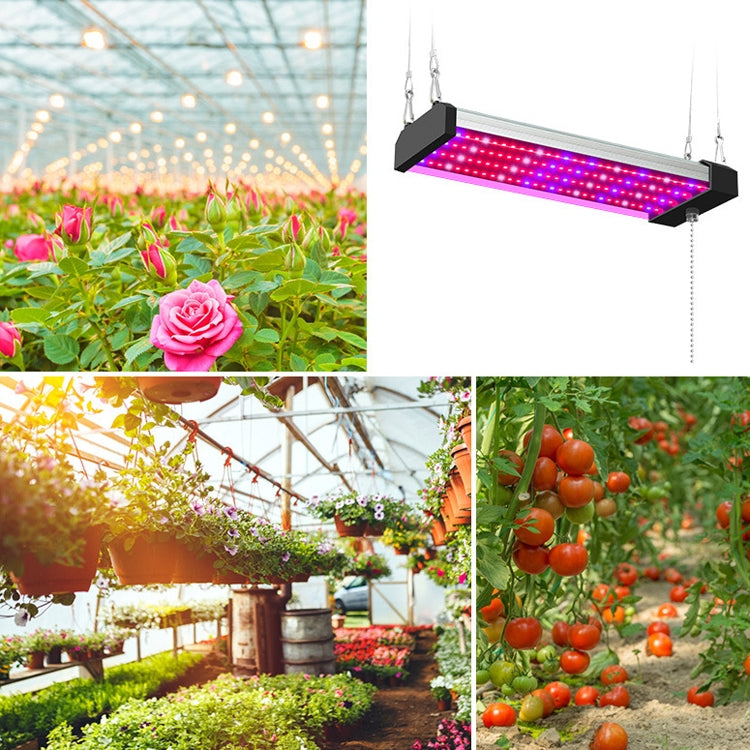 Skanto | LED vekstlampe full spekterplante lys rør, Stil: Liten dobbel rad 100 cm (EU-plugg)