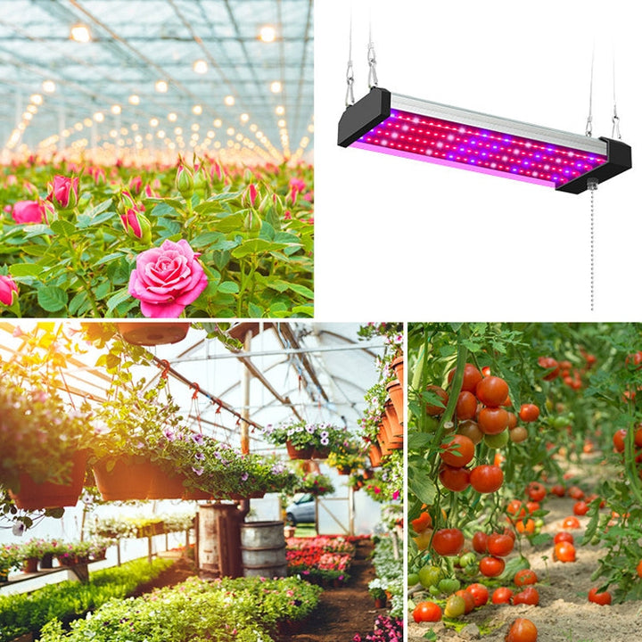 Skanto | LED vekstlampe full spekterplante lys rør, Stil: Liten dobbel rad 100 cm (EU-plugg)