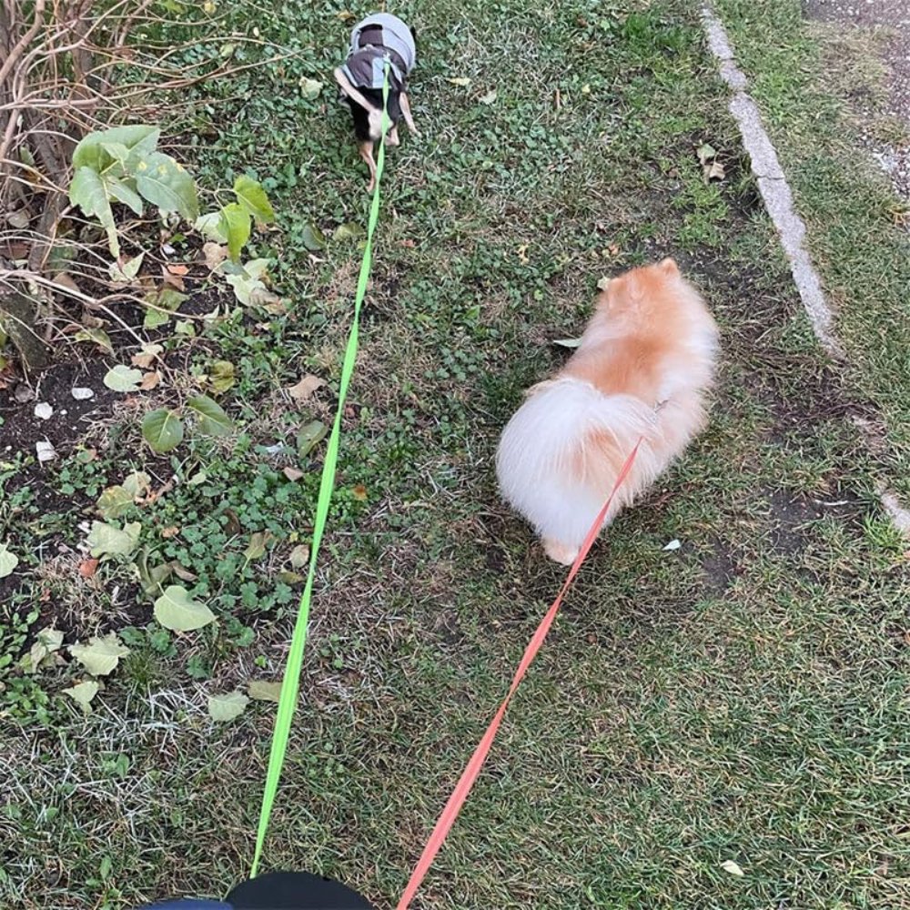 TangleFree Dobbel Hundesele - Tangle-Free Sele for Enkelt Gåtur med To Hunder | Skanto