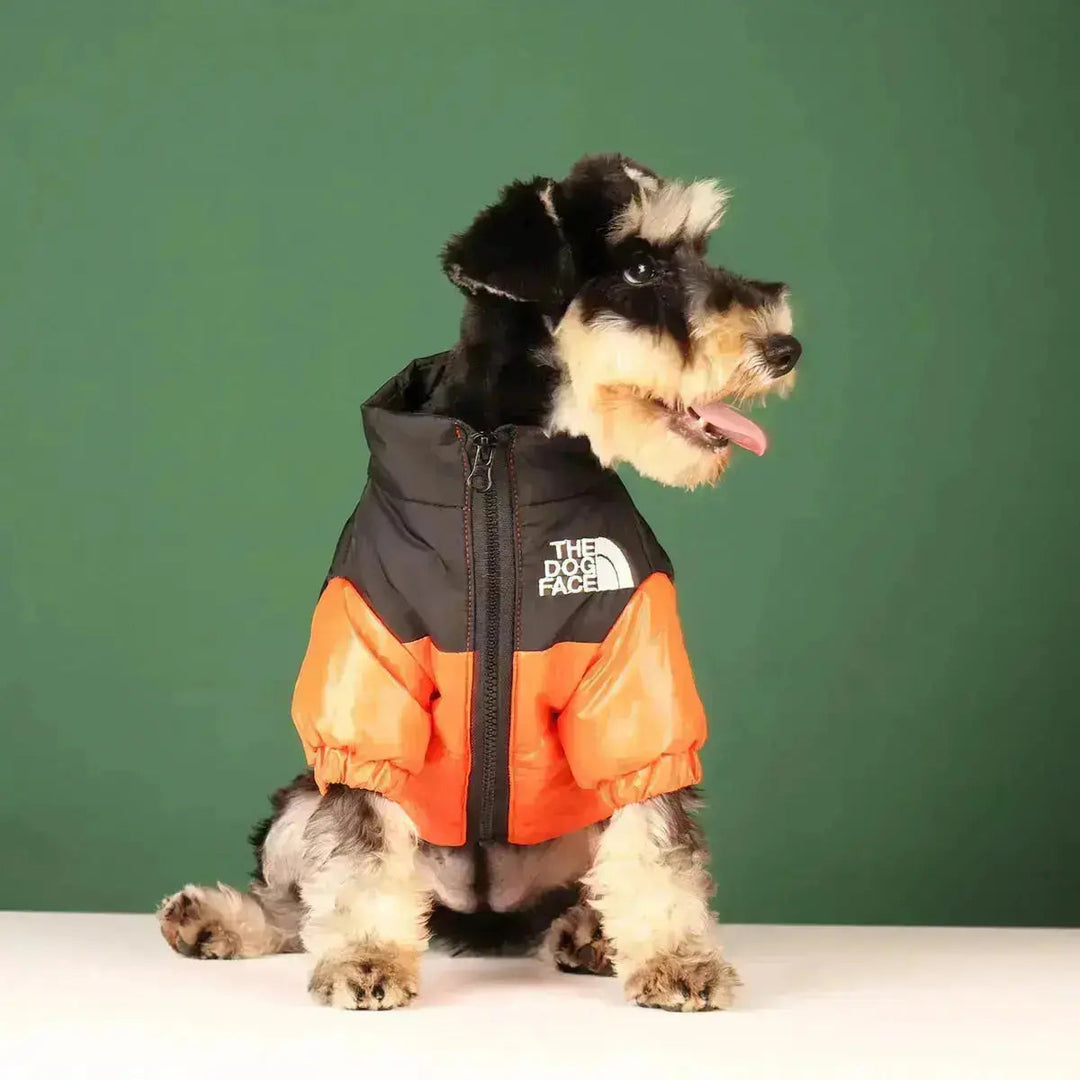 Skanto | The Dog Face Jacket - Type A