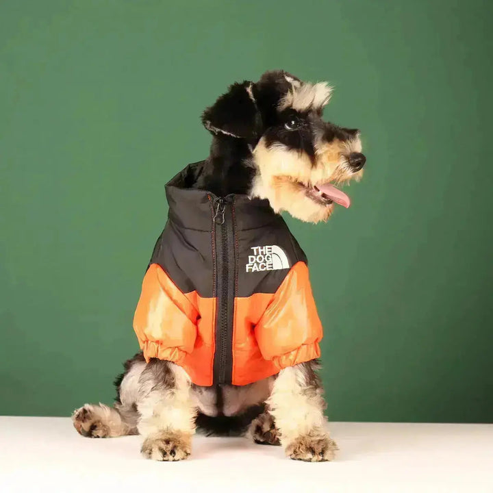 Skanto | The Dog Face Jacket - Type A
