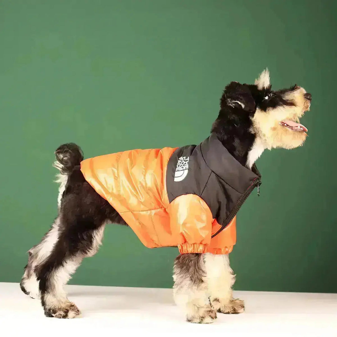 Skanto | Die Dog Face Jacket - Type A