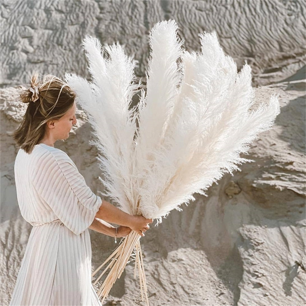 Skanto | FeatherFawn - Tørkede Pampasblomster