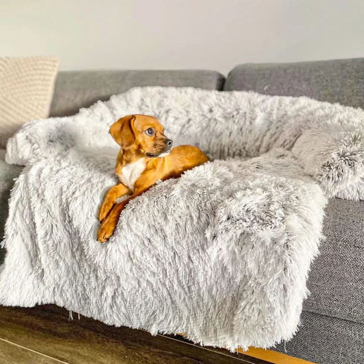 Skanto | PLUSHGUARD