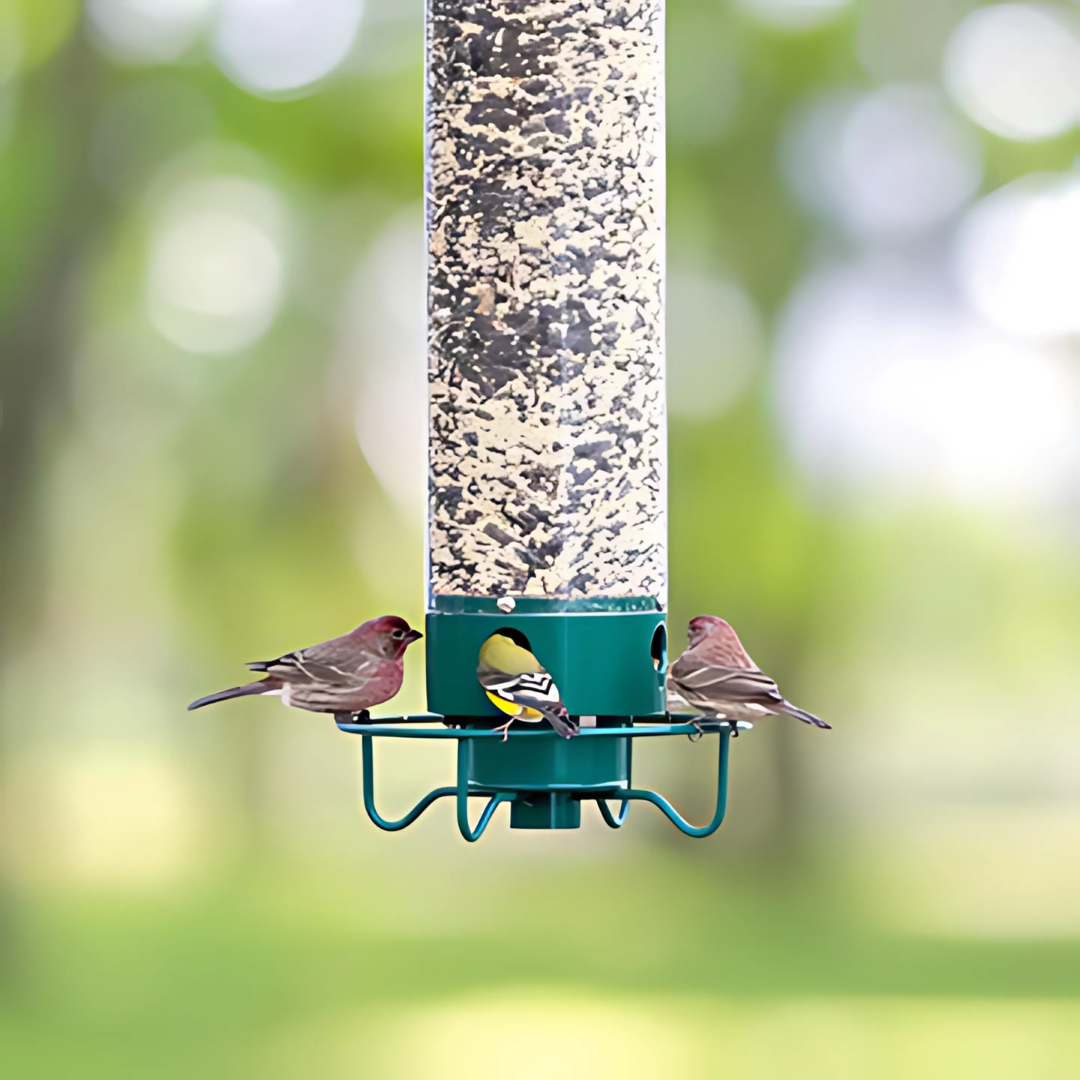 Hängender, eichhörnchensicherer Vogelfutterspender aus Metall für Gärten