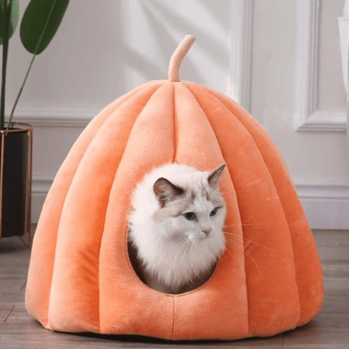 Skanto | CozyNest Gresskar Kattseng – Varm, Vaskbar & Komfortabel Katthule
