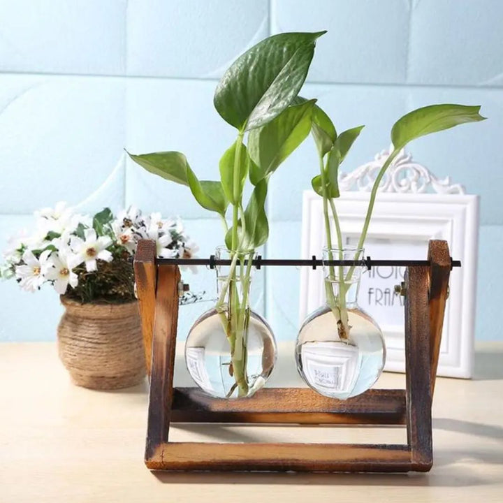 Skanto | Moderne hydroponisk potte med en treplate