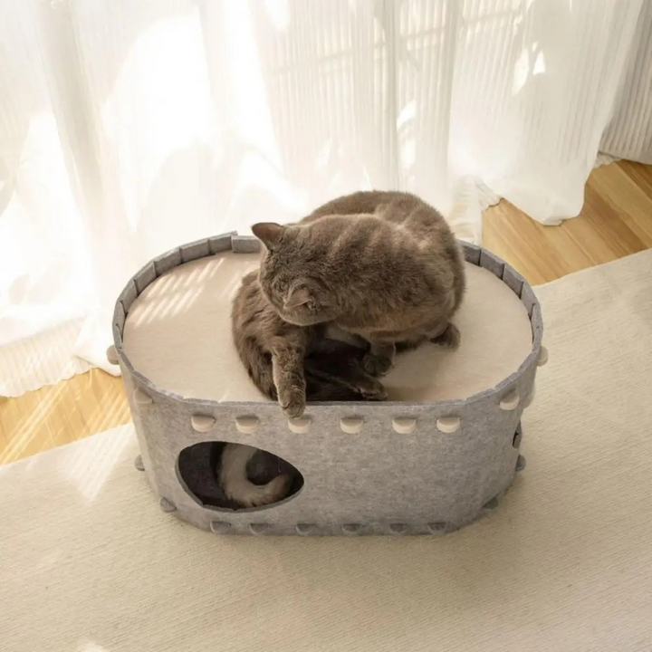 Koselig Ull Katt Hule Skanto