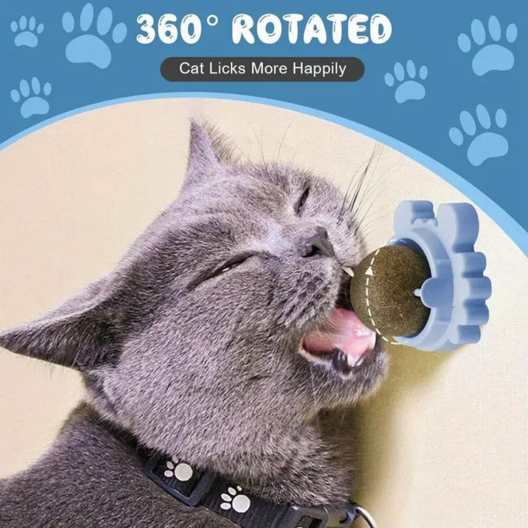 Catnip ball Skanto