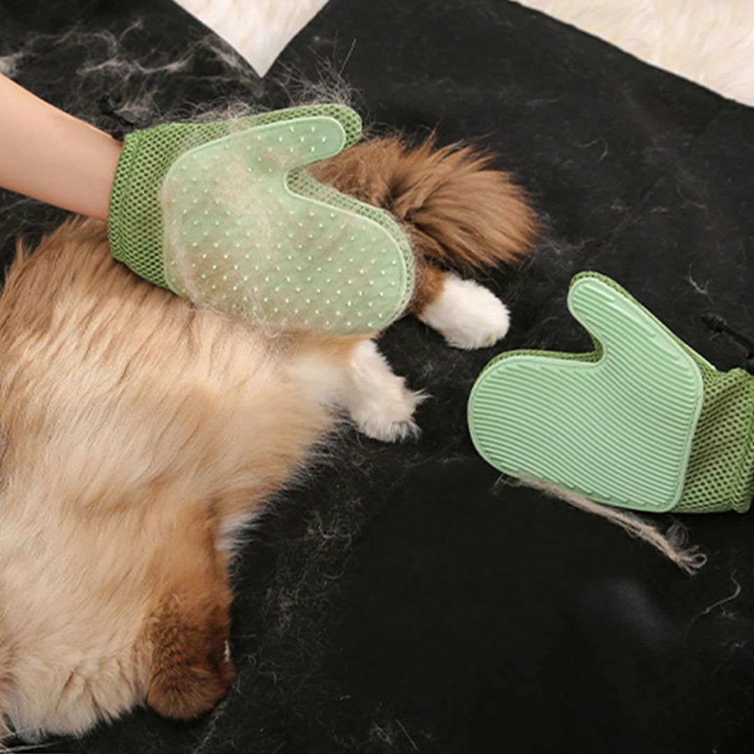 2i1 katt hanske for grooming Skanto