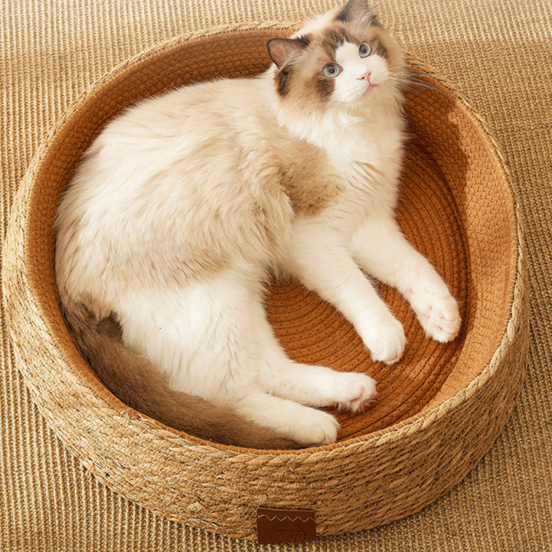 Håndvevd rattan katt klore seng Skanto