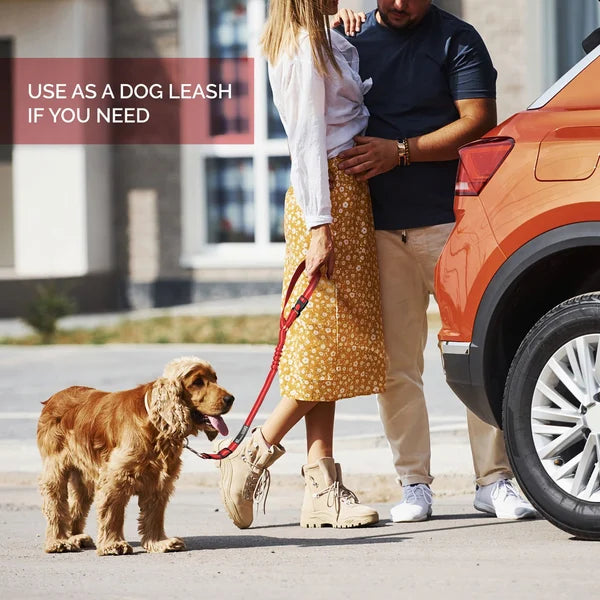 Justerbar Bil Hundesele | Skanto